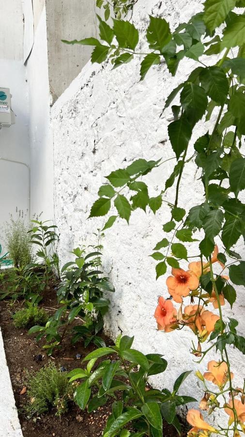 Μy Ηομε Apartman Chalkís Kültér fotó